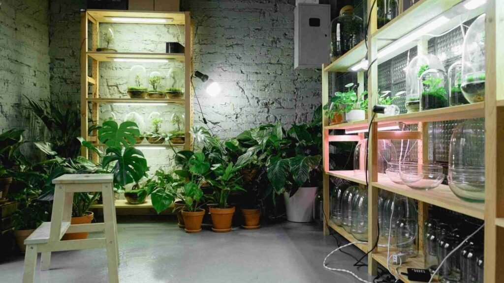 LED vs Fluorescent Grow Lights