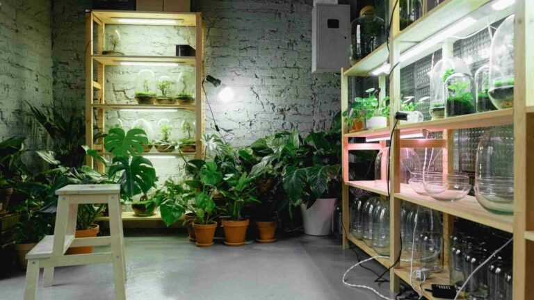 LED vs Fluorescent Grow Lights