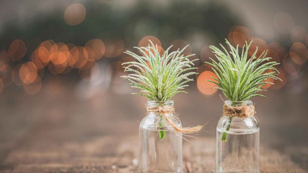 Grow Lights vs Natural Sunlight