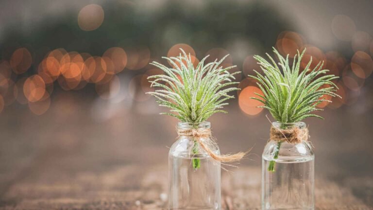 Grow Lights vs Natural Sunlight