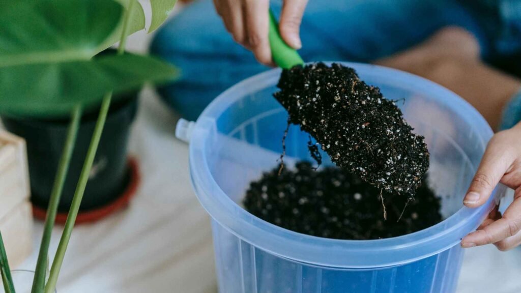 Plastic Pots vs Terracotta Pots for Indoor Plants
