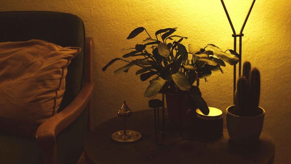 How Far Should Grow Lights Be From Indoor Plants