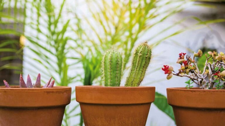 LED grow light wattage for indoor plant