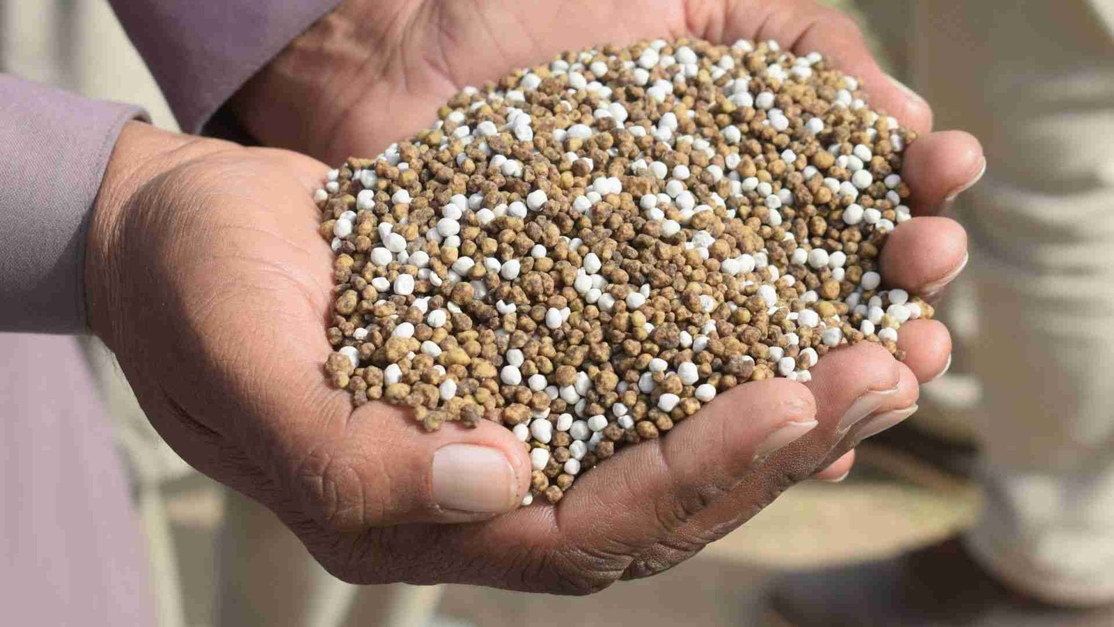 Do Indoor Plants Need Fertilizer