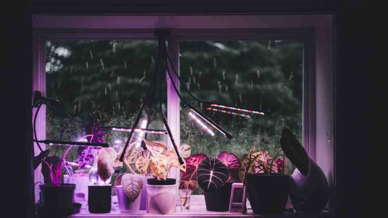 PPFD in Grow Lights