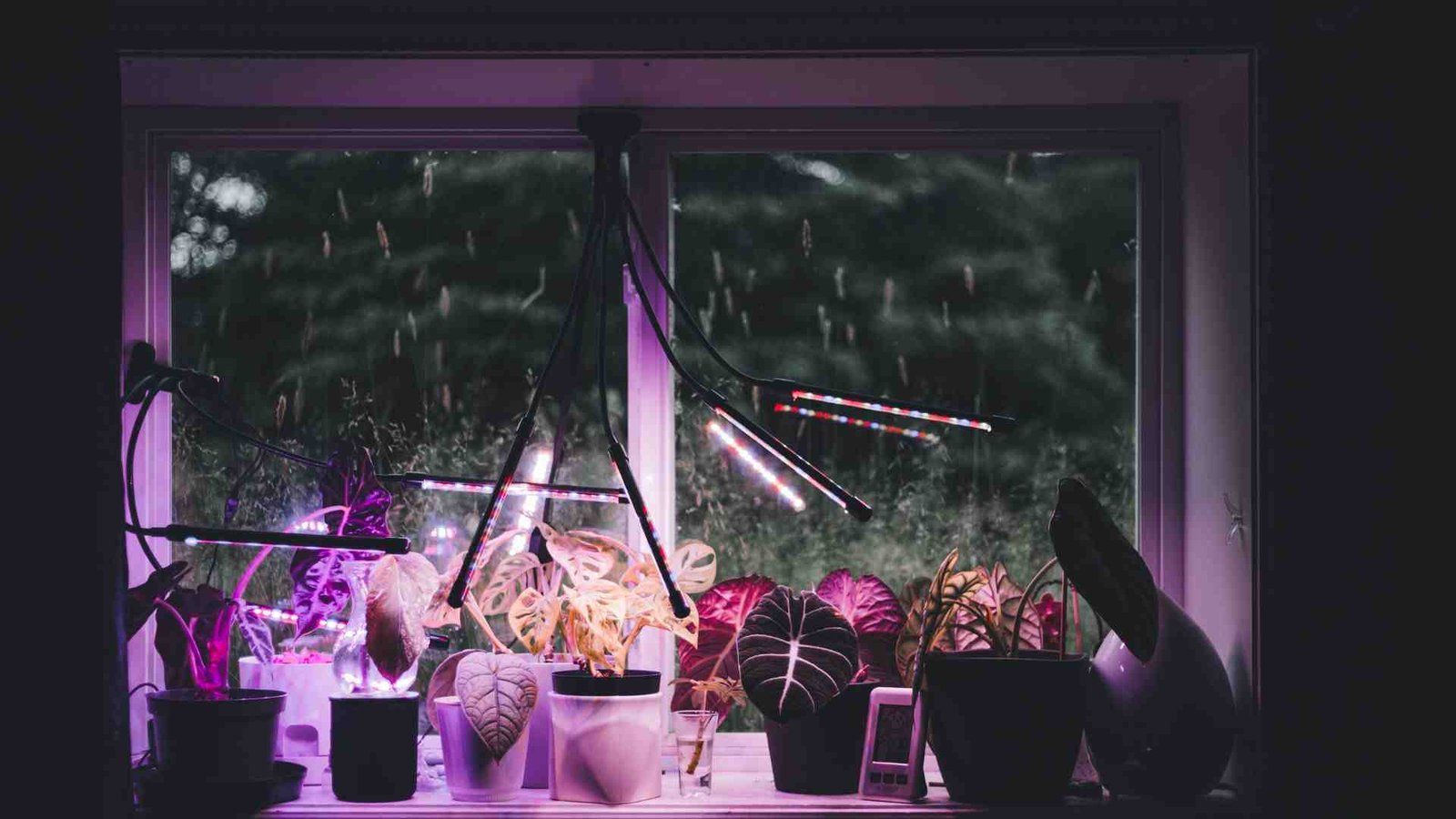 PPFD in Grow Lights